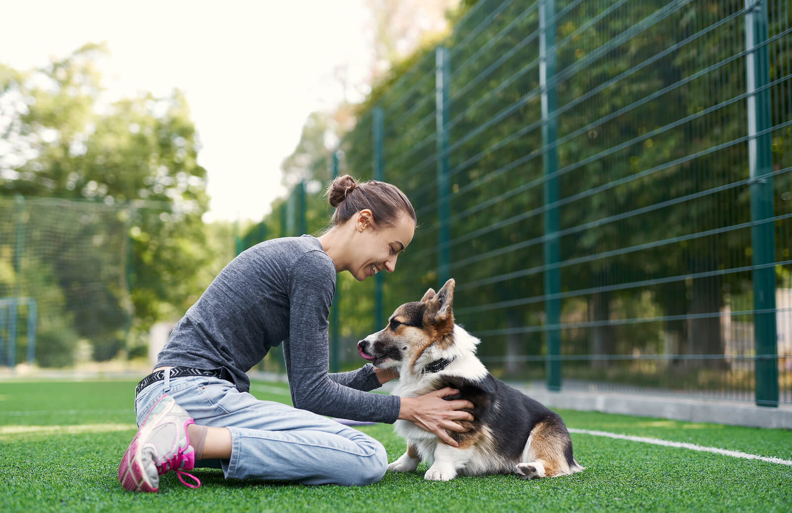 dog getting petted by a woman in a fenced in yard