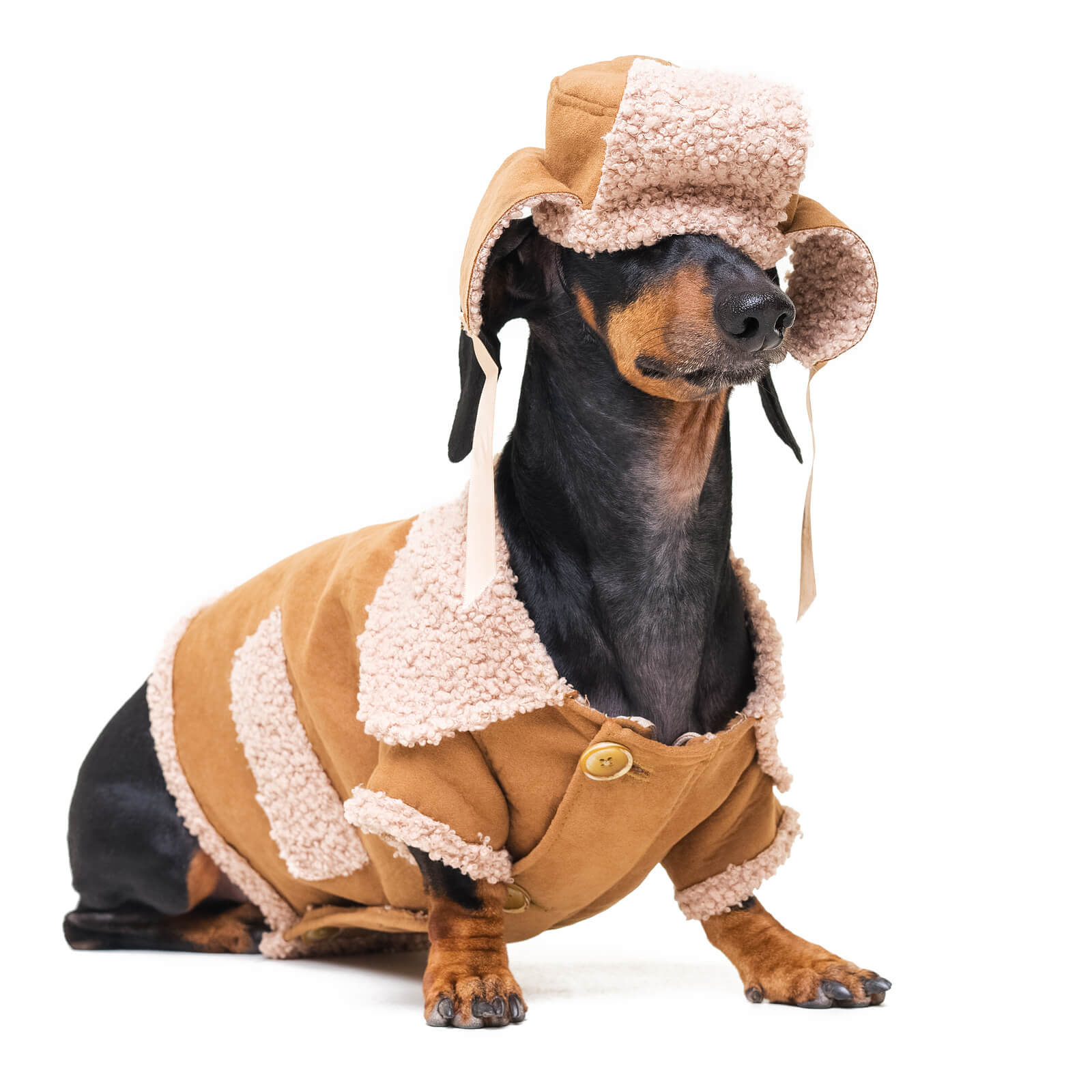 Keep your dog happy and healthy in winter!