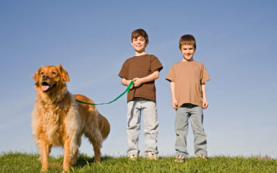 How Often Should You Walk Your Dog?