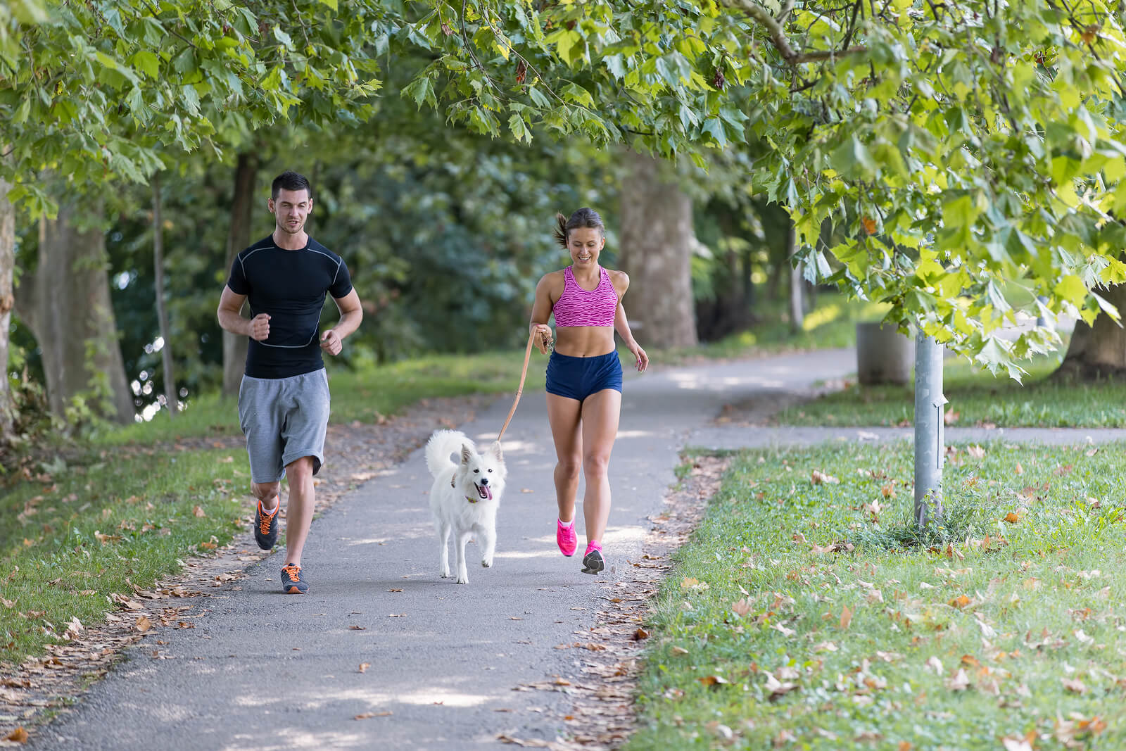young couple jogging with a dog