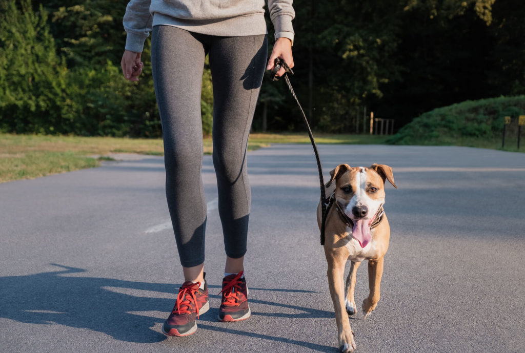 Fit woman running with a dog and holding it's leash