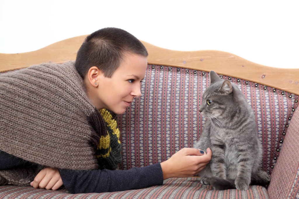 girl petting a cat on a couch